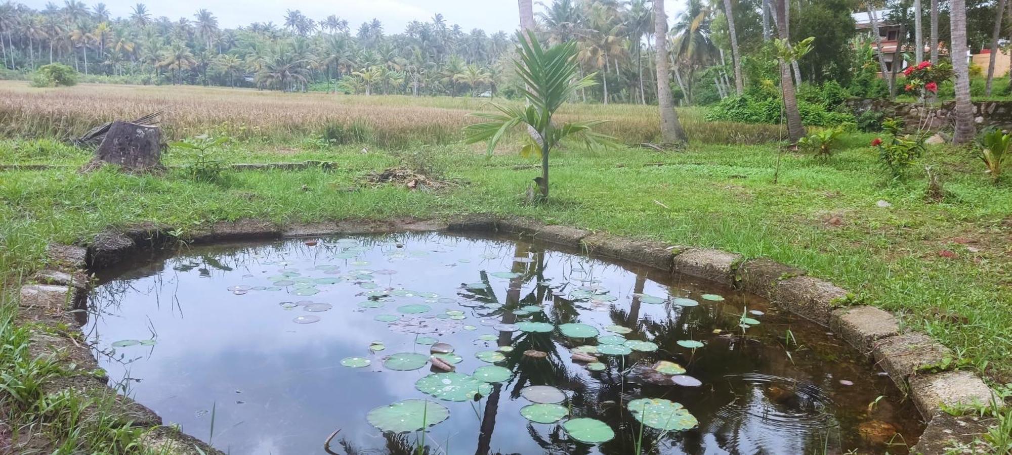 Paddy Farm Beach Resort Odayam Varkala Zewnętrze zdjęcie