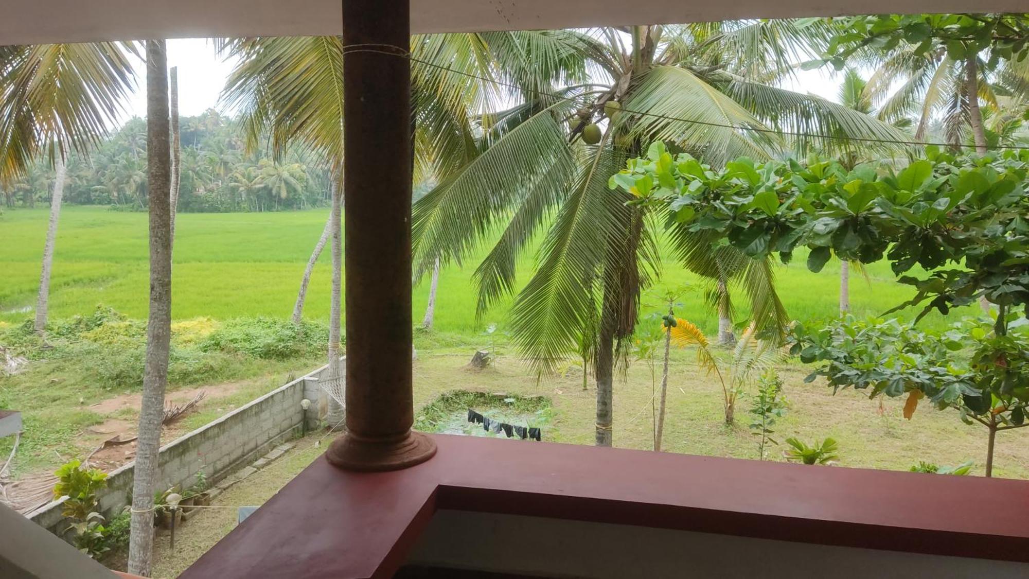 Paddy Farm Beach Resort Odayam Varkala Zewnętrze zdjęcie