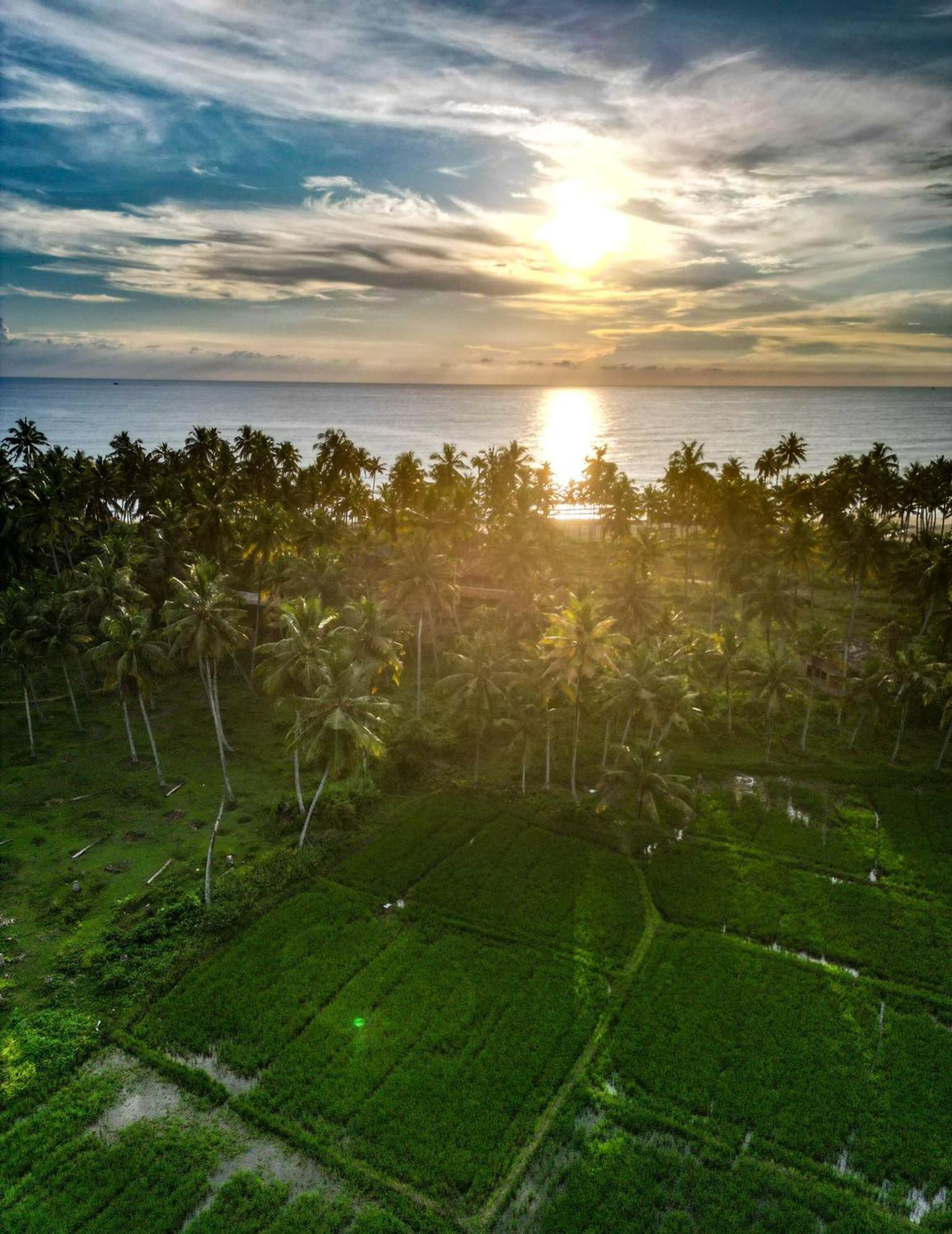 Paddy Farm Beach Resort Odayam Varkala Zewnętrze zdjęcie