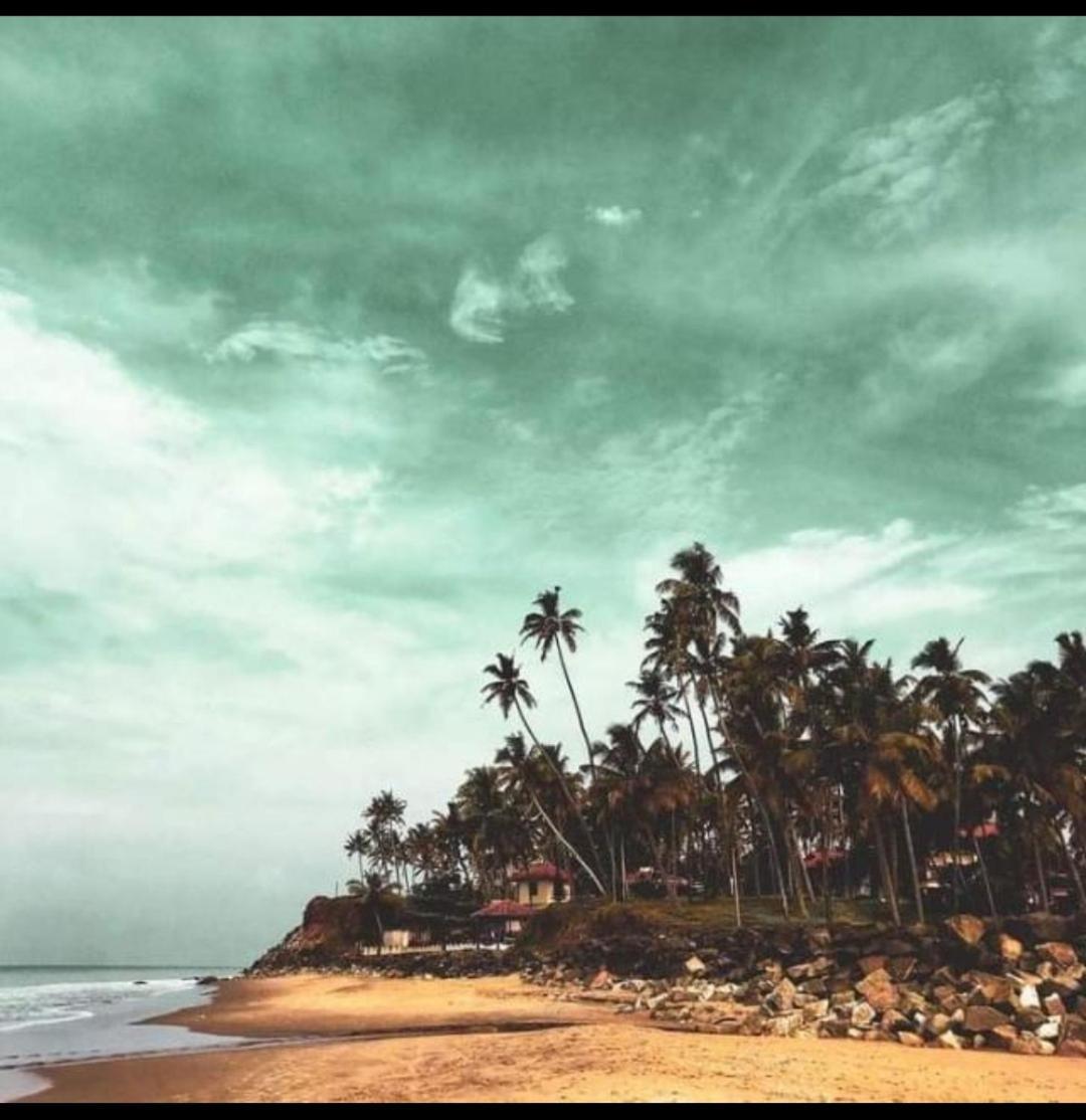 Paddy Farm Beach Resort Odayam Varkala Zewnętrze zdjęcie